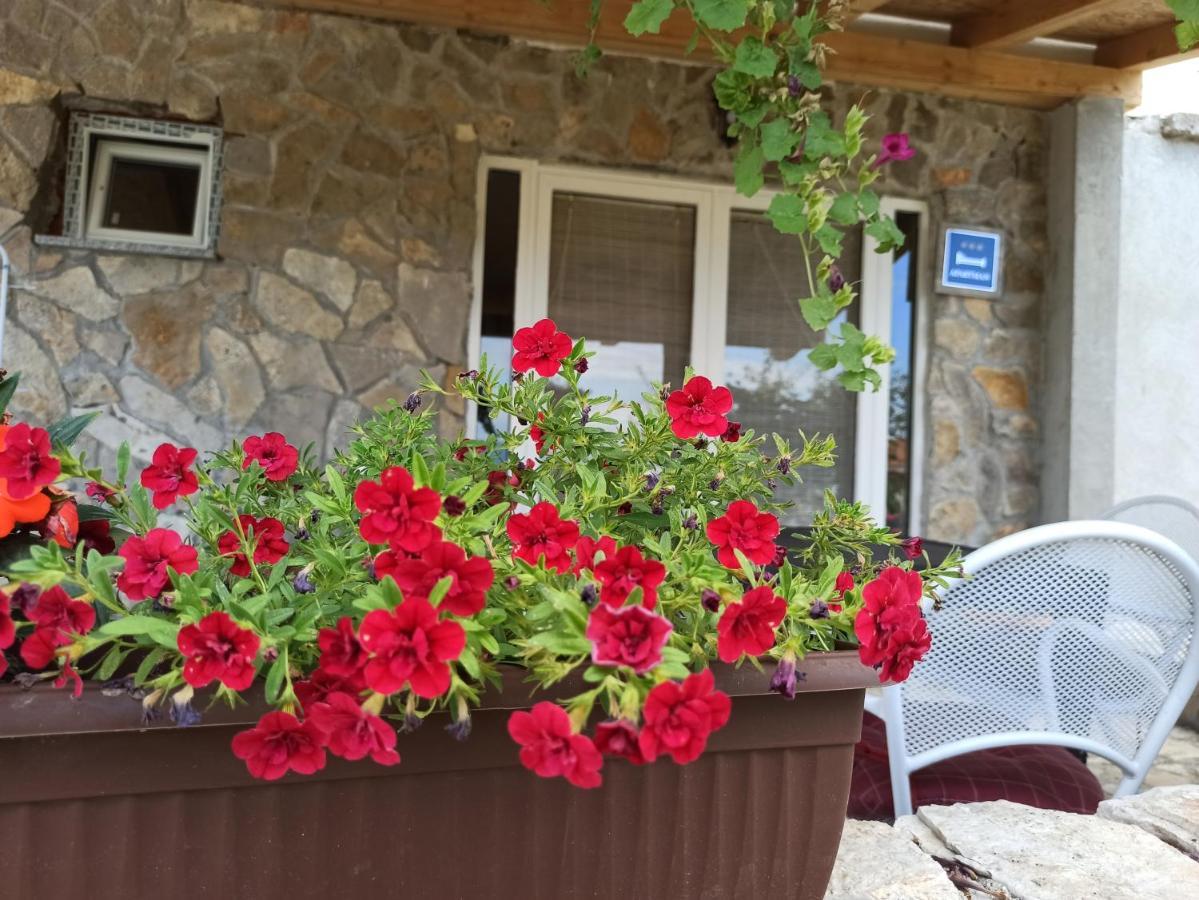 Apartment Mare Babin Dub Plocanski Exterior photo